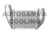 AUTOGAMMA 103885 Intercooler, charger